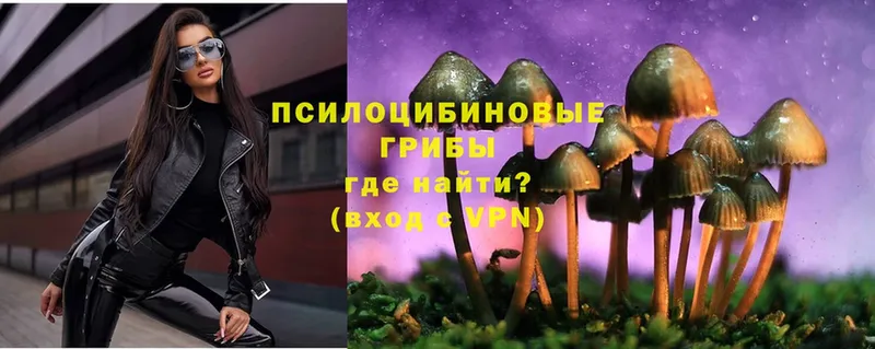 Псилоцибиновые грибы MAGIC MUSHROOMS  Дальнегорск 